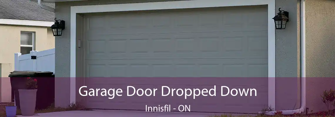 Garage Door Dropped Down Innisfil - ON