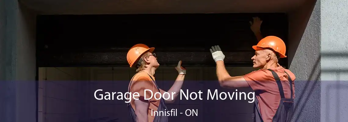 Garage Door Not Moving Innisfil - ON