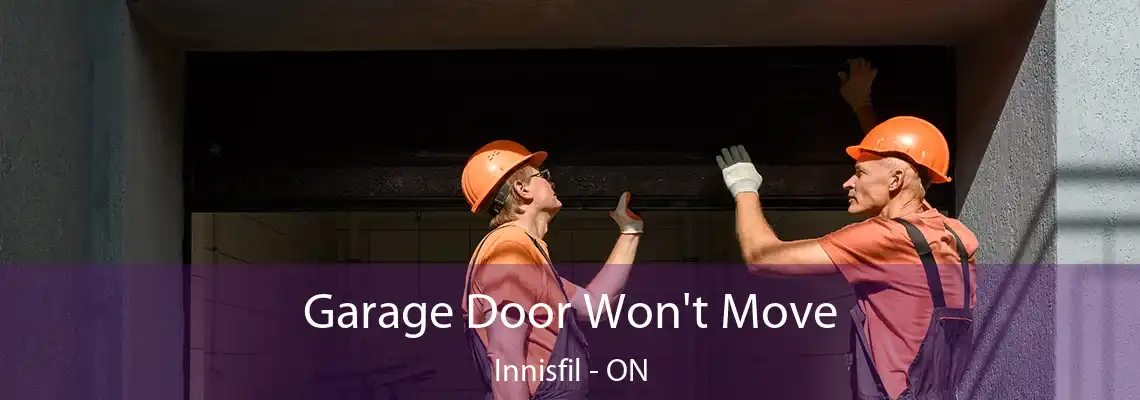 Garage Door Won't Move Innisfil - ON